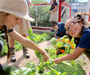 Lilburn Elementary School to receive a new school garden